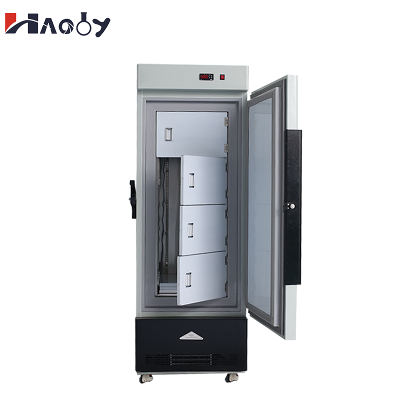 Wholesale 158L Medical Freezer - Medical Lab Iso ulasan dan harga